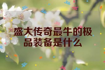 盛大传奇最牛的极品装备是什么
