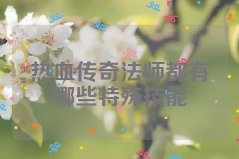 热血传奇法师都有哪些特殊技能