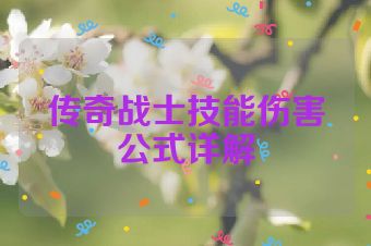 传奇战士技能伤害公式详解