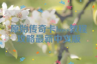 原始传奇卡boss教程攻略最新中文版