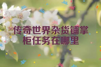 传奇世界杂货铺掌柜任务在哪里