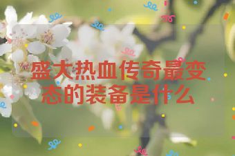 盛大热血传奇最变态的装备是什么