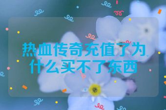 热血传奇充值了为什么买不了东西