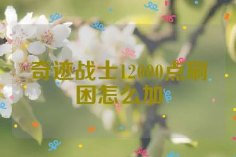 奇迹战士12000点刷困怎么加