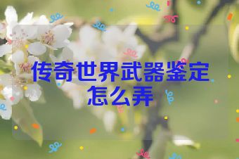 传奇世界武器鉴定怎么弄