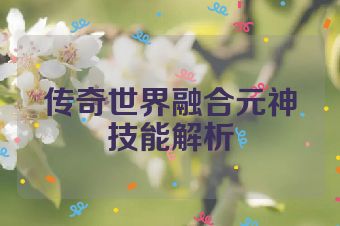 传奇世界融合元神技能解析