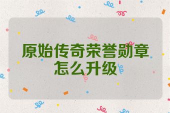 原始传奇荣誉勋章怎么升级