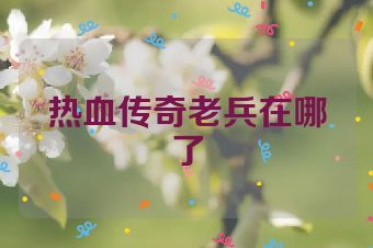 热血传奇老兵在哪了
