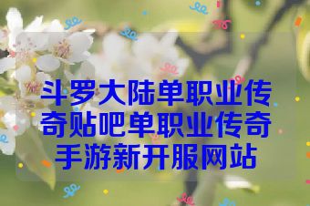斗罗大陆单职业传奇贴吧单职业传奇手游新开服网站