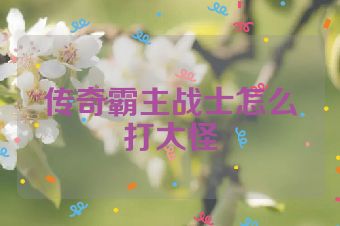 传奇霸主战士怎么打大怪