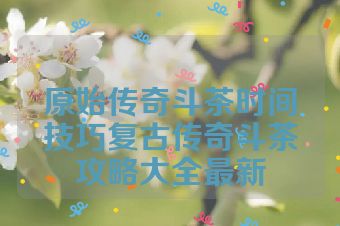 原始传奇斗茶时间技巧复古传奇斗茶攻略大全最新