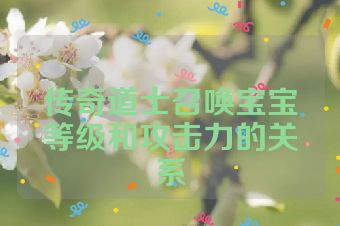 传奇道士召唤宝宝等级和攻击力的关系