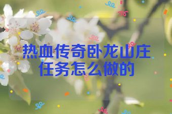 热血传奇卧龙山庄任务怎么做的