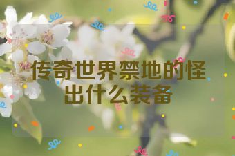 传奇世界禁地的怪出什么装备