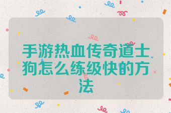 手游热血传奇道士狗怎么练级快的方法