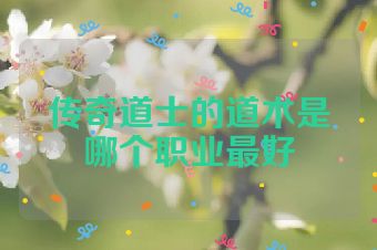 传奇道士的道术是哪个职业最好