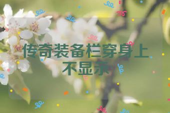 传奇装备栏穿身上不显示