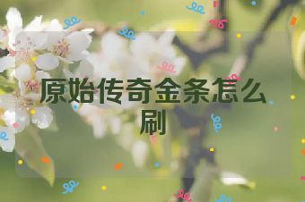 原始传奇金条怎么刷