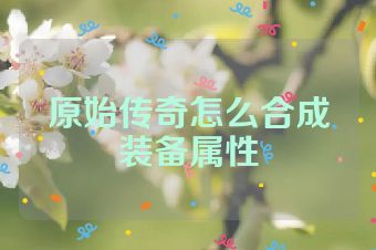 原始传奇怎么合成装备属性