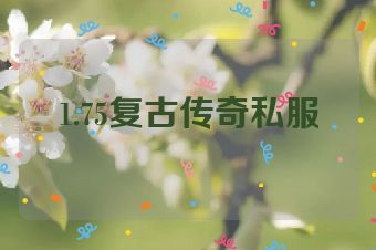 1.75复古传奇私服