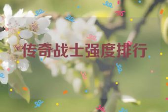传奇战士强度排行