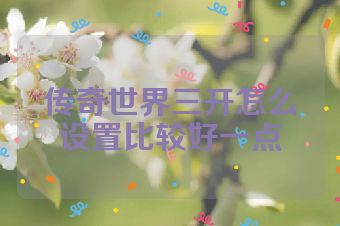 传奇世界三开怎么设置比较好一点