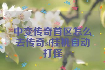 中变传奇首区怎么去传奇sf挂机自动打怪