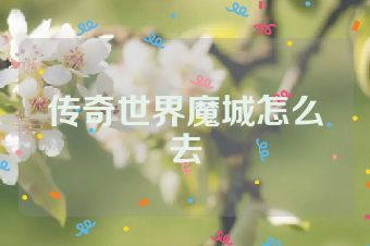 传奇世界魔城怎么去