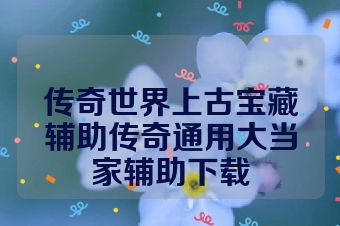 传奇世界上古宝藏辅助传奇通用大当家辅助下载