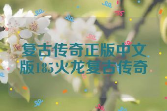 复古传奇正版中文版185火龙复古传奇