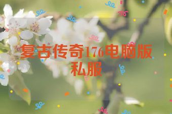 复古传奇176电脑版私服