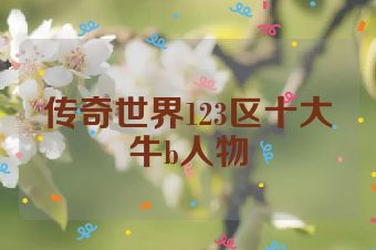 传奇世界123区十大牛b人物
