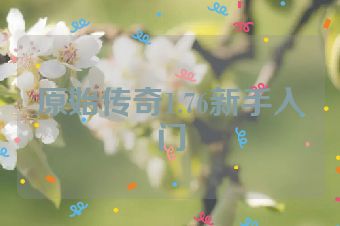 原始传奇1.76新手入门