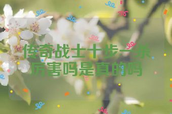 传奇战士十步一杀厉害吗是真的吗
