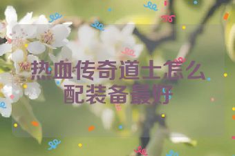 热血传奇道士怎么配装备最好