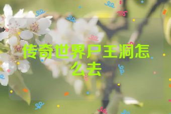 传奇世界尸王洞怎么去