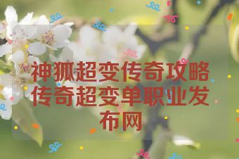 神狐超变传奇攻略传奇超变单职业发布网