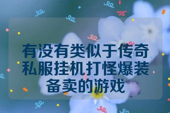 有没有类似于传奇私服挂机打怪爆装备卖的游戏