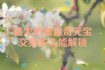 盛大热血传奇元宝交易多久能解锁
