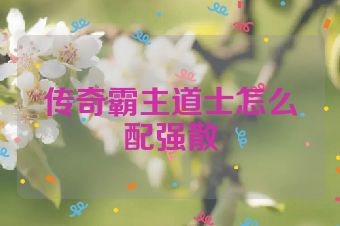 传奇霸主道士怎么配强散
