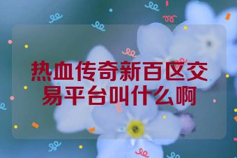 热血传奇新百区交易平台叫什么啊