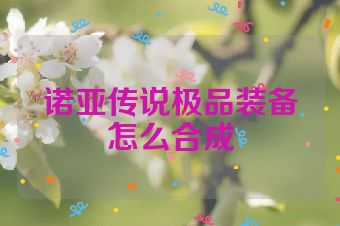 诺亚传说极品装备怎么合成