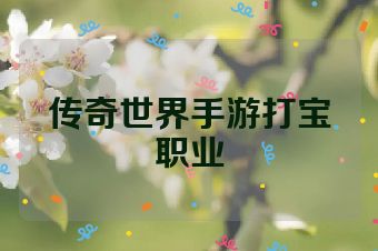 传奇世界手游打宝职业