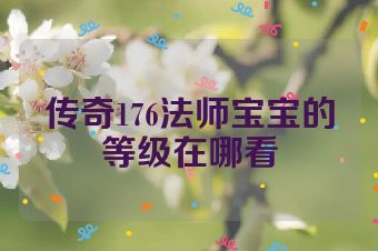 传奇176法师宝宝的等级在哪看