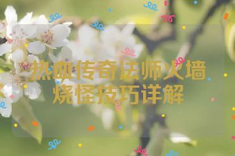 热血传奇法师火墙烧怪技巧详解