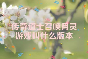传奇道士召唤月灵游戏叫什么版本