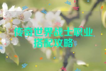 传奇世界战士职业搭配攻略