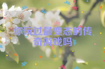你玩过最变态的传奇游戏吗