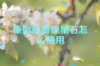 原始传奇绿星石怎么使用