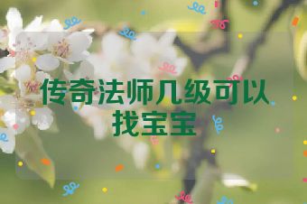 传奇法师几级可以找宝宝